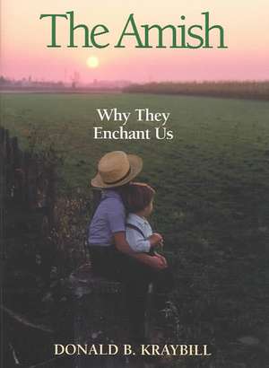 The Amish: Why They Enchant Us de Donald B. Kraybill