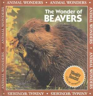 The Wonder of Beavers de Amy Bauman