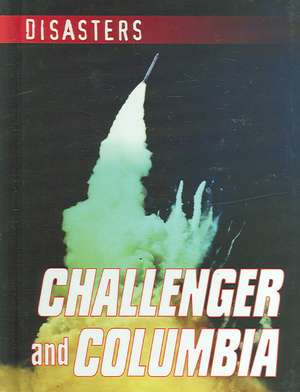 Challenger and Columbia de Kathleen Fahey