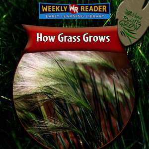 How Grass Grows de Joanne Mattern