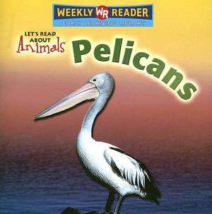 Pelicans de Kathleen Pohl