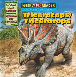 Triceratops de Joanne Mattern