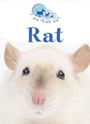 Rat de Matthew Rayner