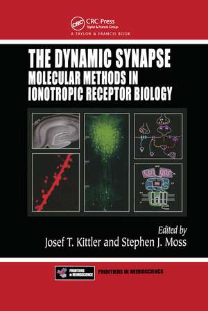 The Dynamic Synapse: Molecular Methods in Ionotropic Receptor Biology de Josef T. Kittler