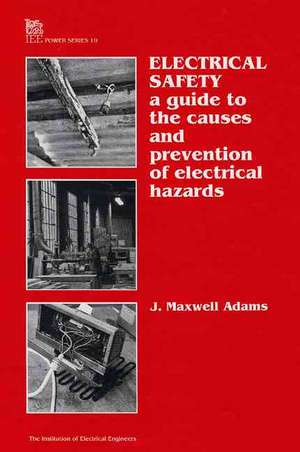 Electrical Safety de J. Maxwell Adams