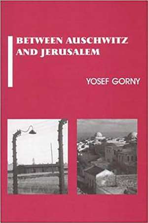 Between Auschwitz and Jerusalem: Jewish Collective Identity in Crisis de Yosef Gorni