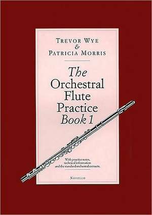 The Orchestral Flute Practice Book 1 de Patricia Morris