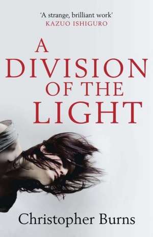 A Division of the Light de Christopher Burns