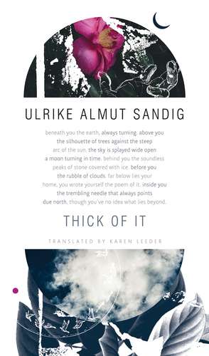 Thick of It de Ulrike Almut Sandig