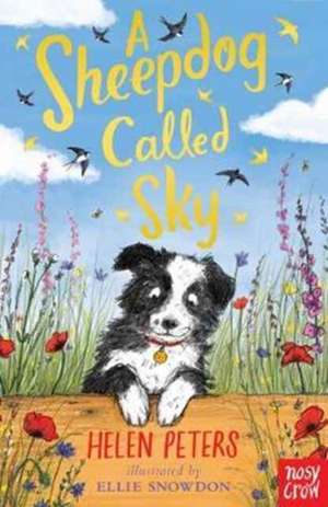 A Sheepdog Called Sky de Helen Peters