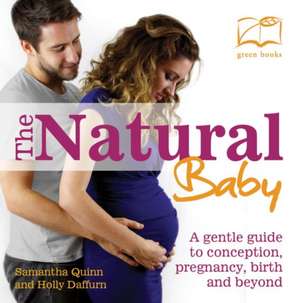 The Natural Baby: A Gentle Guide to Conception, Pregnancy, Birth and Beyond de Holly Daffurn