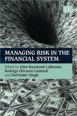 Managing Risk in the Financial System de John Raymond Labrosse