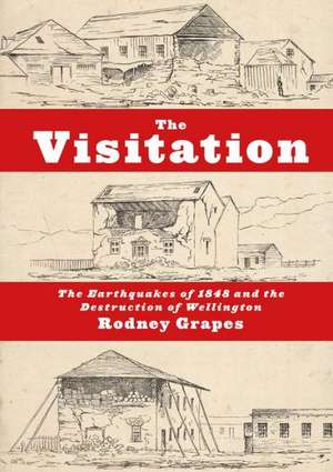 The Visitation: The Earthquakes of 1848 and the Destruction of Wellington de R. H. Grapes