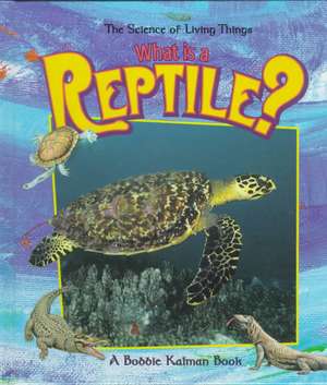 What is a Reptile? de Bobbie Kalman