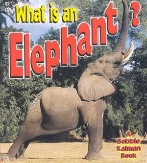 What is an Elephant? de John Crossingham