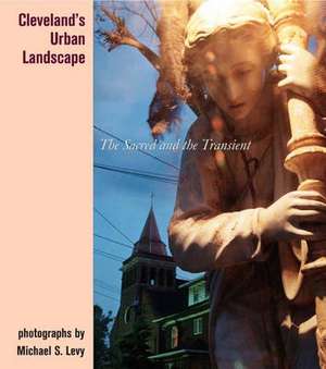 Cleveland's Urban Landscape: The Sacred and the Transient de Michael S. Levy