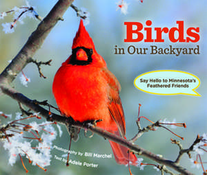 Birds in Our Backyard: Say Hello to Minnesota's Feathered Friends de Adele Porter