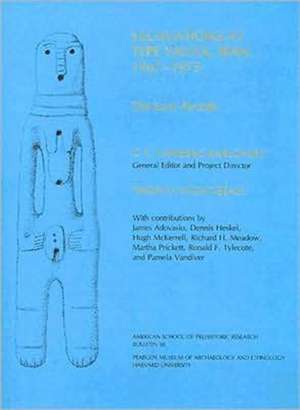 Excavations at Tepe Yahya, Iran, 1967–1975, Volume I: The Early Periods de Thomas Wight Beale