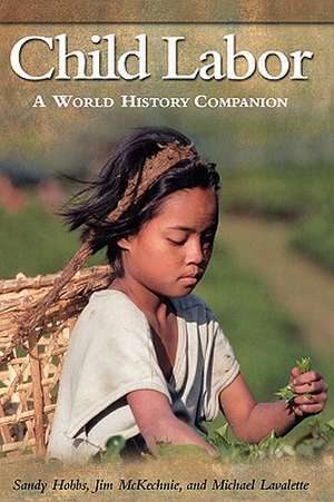 Child Labor: A World History Companion de Sandy Hobbs