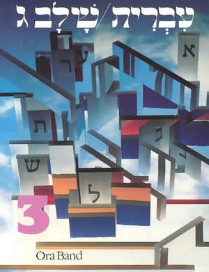 Hebrew: A Language Course: Level 3 Shlav Gimmel de Behrman House