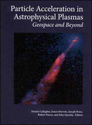 Particle Acceleration in Astrophysical Plasmas – Geospace and Beyond de D Gallagher