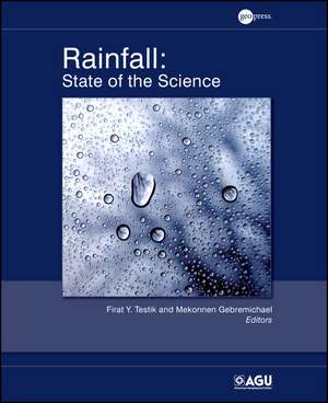 Rainfall: State of the Science de Firat Y. Testik