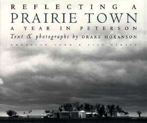 Reflecting a Prairie Town: A Year in Peterson de Drake Hokanson