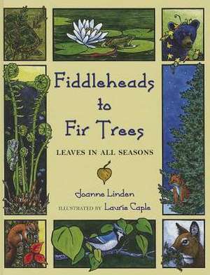 Fiddleheads to Fir Trees: Leaves in All Seasons de Joanne Linden