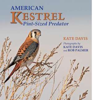 American Kestrel: Pint-Sized Predator de Kate Davis