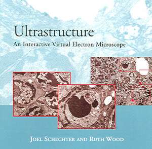 Ultrastructure: An Interactive Virtual Electron Microscope de Joel E. Schechter