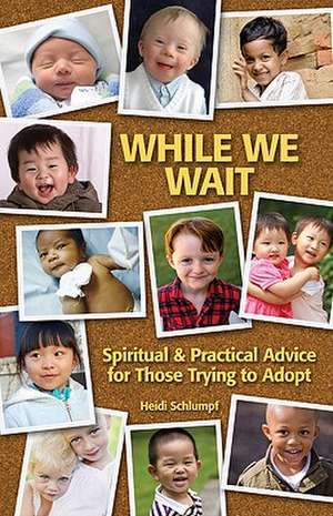 While We Wait: Spiritual & Practical Advice for Those Trying to Adopt de Heidi Schlumpf