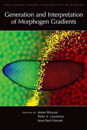 Generation and Interpretation of Morphogen Gradients: DNA Entanglement and the Action of the DNA Topoisomerases de James Briscoe