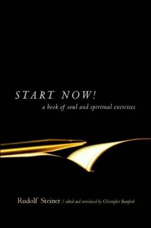 Start Now de Rudolf Steiner