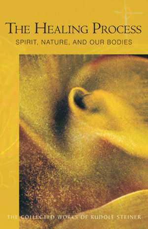 The Healing Process: Spirit, Nature, and Our Bodies de Rudolf Steiner