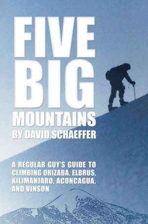 Five Big Mountains de David Schaeffer