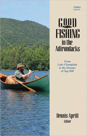 Good Fishing in the Adirondacks – From Lake Champlain to the Streams of Tug Hill 3e de Dennis Aprill