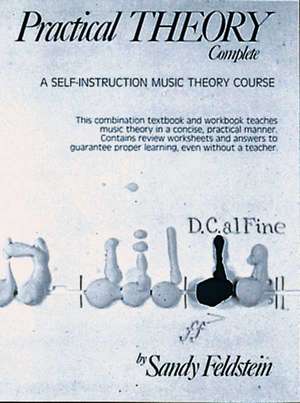 Practical Theory, Vol 1 de Sandy Feldstein