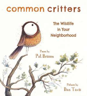 Common Critters – The Wildlife in Your Neighborhood de Pat Brisson