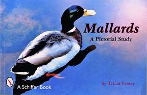 Mallards de T. Veasey