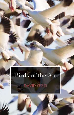 Birds of the Air de David Yezzi