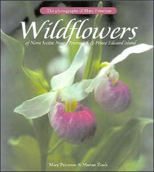 Wildflowers of Nova Scotia, New Brunswick & Prince Edward Island de Mary Primrose