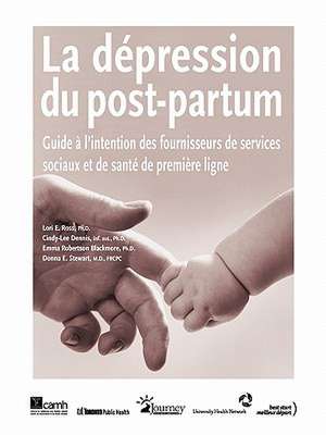 La Depression Du Post-Partum: Guide A L Intention Des Fournisseurs de Services Sociaux Et de Sante de Premiere Ligne de Lori E. Ross