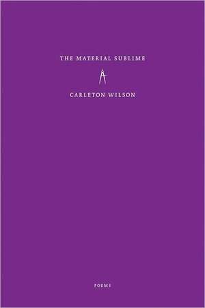 The Material Sublime: And Other Stories de Carleton Wilson