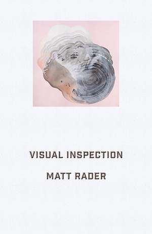 Visual Inspection de Matt Rader