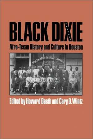 Black Dixie: Afro-Texan History and Culture in Houston de Howard Beeth