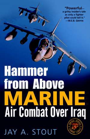 Hammer from Above: Marine Air Combat Over Iraq de Jay A. Stout