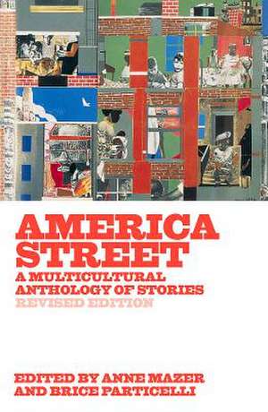 America Street de Anne Mazer