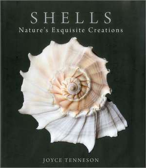 Shells de Joyce Tenneson