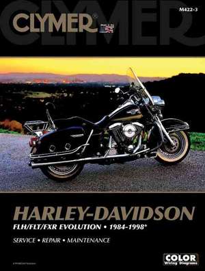 Harley–Davidson Road King, Electra, Tour Glide, Low Rider Motorcycle (1984–1998) Clymer Repair Manual de Haynes