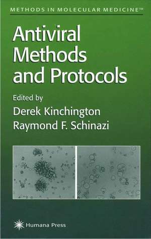 Antiviral Methods and Protocols de Derek Kinchington